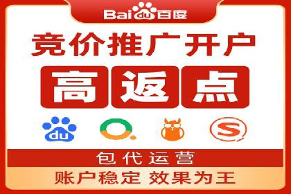 专业SEM托管服务，案例展示精准营销成果